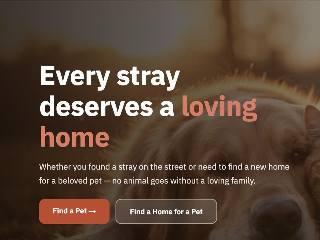 Pawground homepage — “Every stray deserves a loving home”